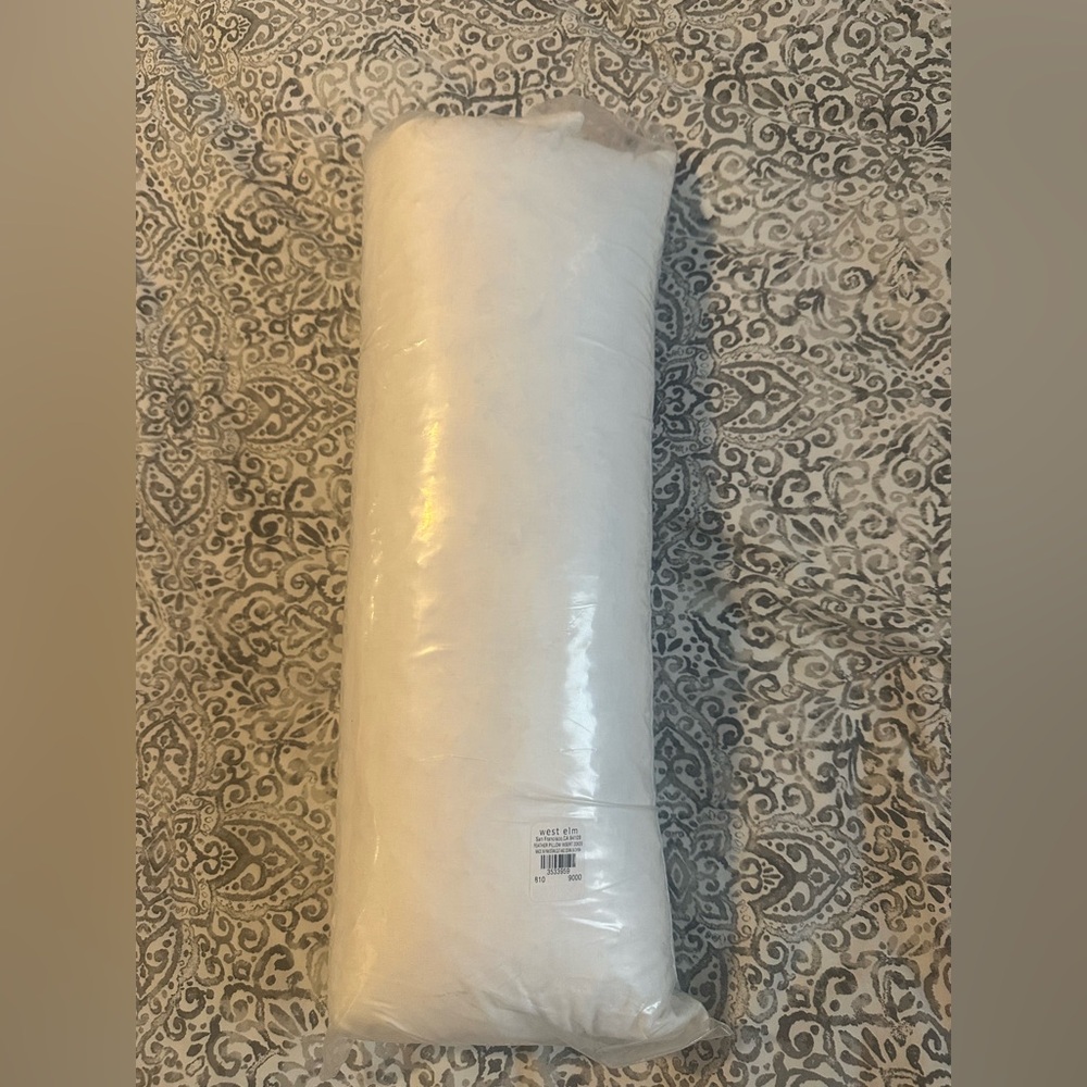 West Elm down pillow insert 20X20